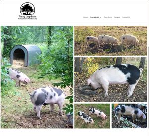 Flying Leap Farm Website