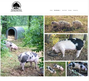 Flying Leap Farm Website