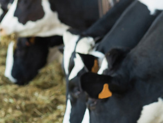 Agriculture Trade Show Banner